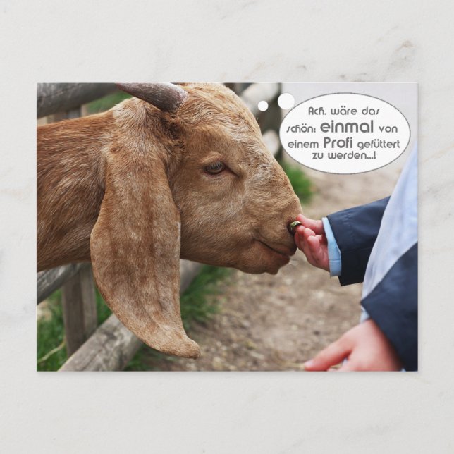 Cartão Postal ...einmal von einem Profi gefüttert zu werden... (Frente)
