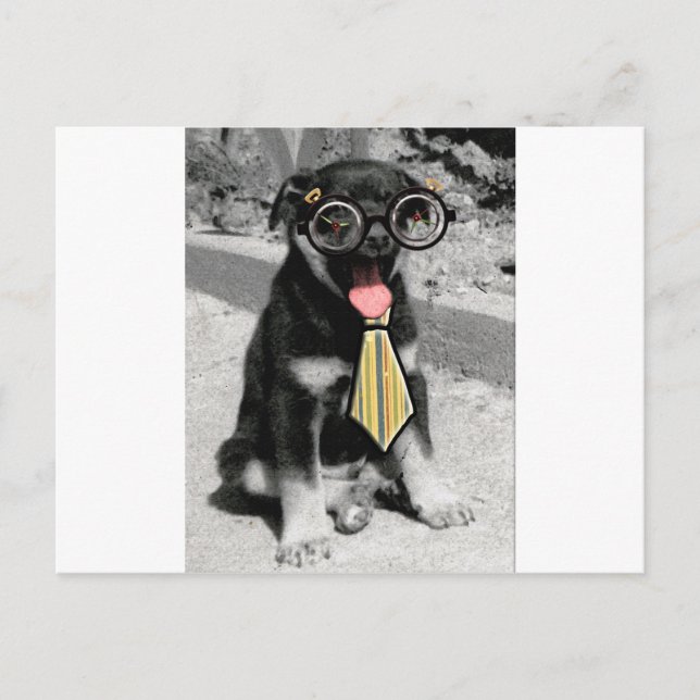 Cartão Postal Einstein é um cachorro preto inteligente (Frente)