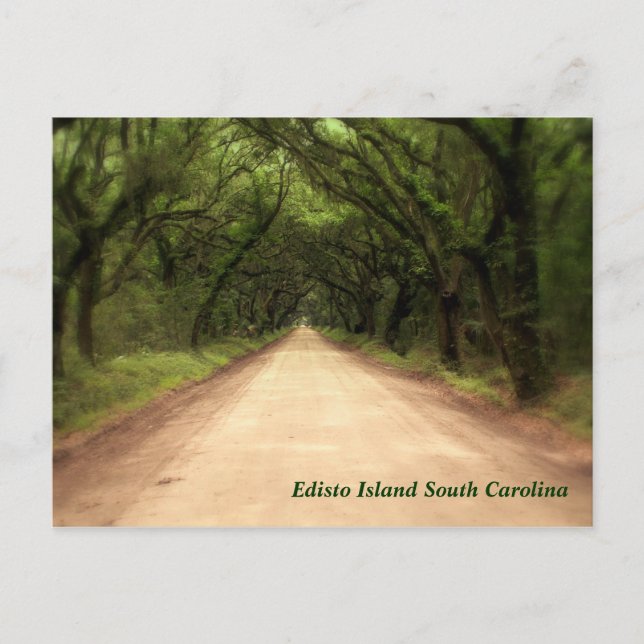 Cartão Postal EIsland South Carolina - Exclusão personalizada (Frente)