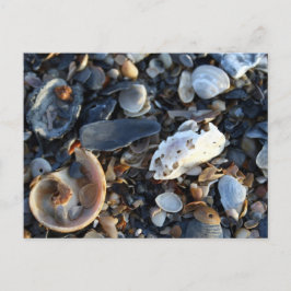 Cartão Postal Eítis Beach Shells
