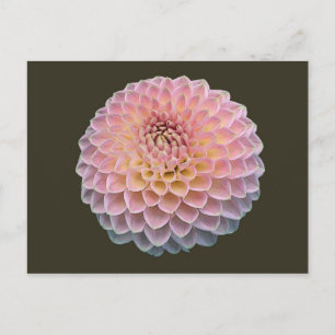 Cartão Postal Eklat