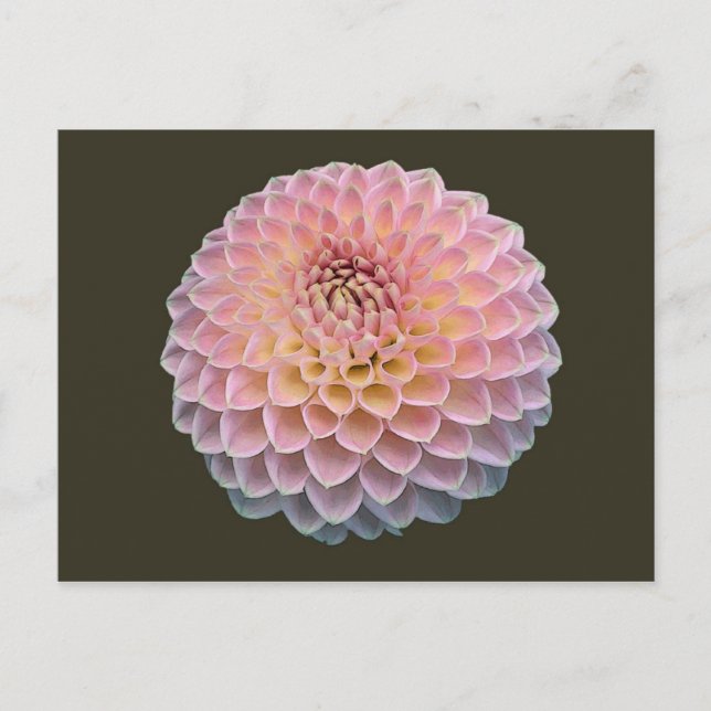 Cartão Postal Eklat (Frente)