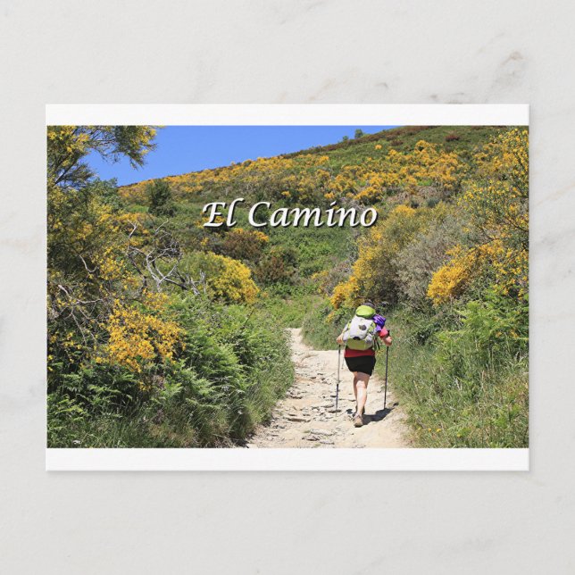 Cartão Postal El Camino de Santiago de Compostela, Espanha, tril (Frente)