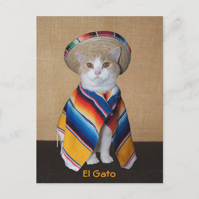 Cartão Postal El Gato Cat em Sombrero e Serape (Frente)
