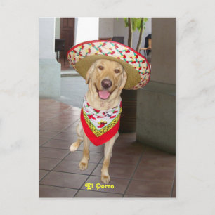 Cartão Postal El Perro