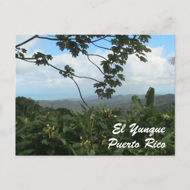 Cartão Postal El Yunque, Puerto Rico (Frente)
