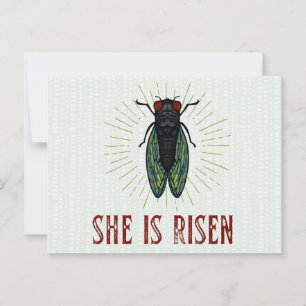 Cartão Postal Ela É Risen Card