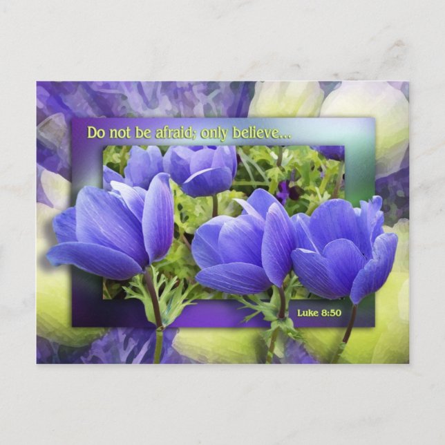 Cartão Postal Ela Será Curada (Frente)