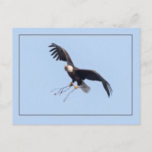Cartão Postal Ela Tem Um Pau