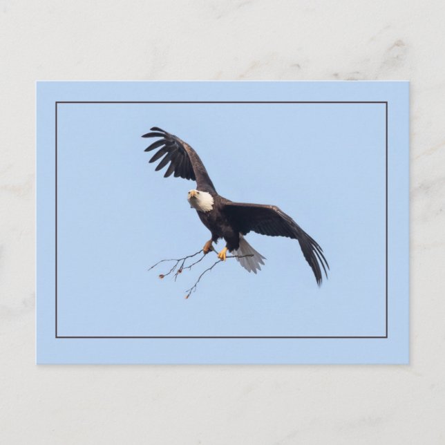 Cartão Postal Ela Tem Um Pau (Frente)