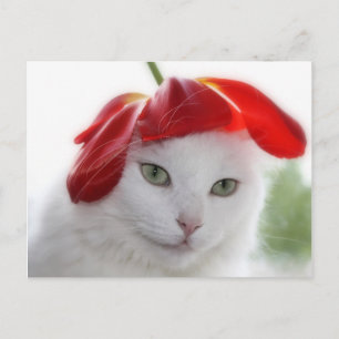 Cartão Postal Ela Vestiu um chapéu moldado como uma chicotada