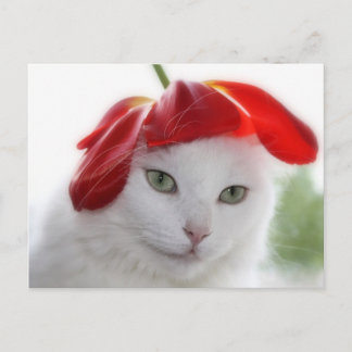 Cartão Postal Ela Vestiu um chapéu moldado como uma chicotada