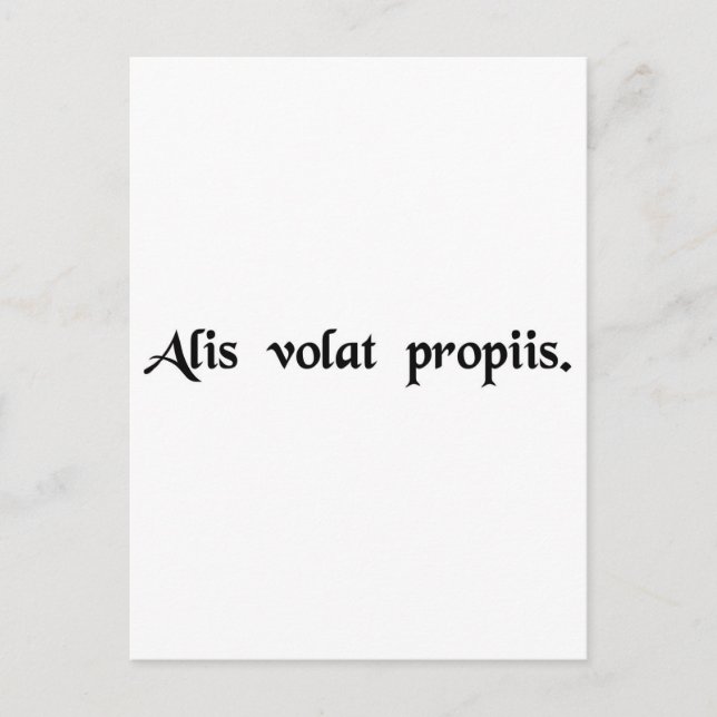 Cartão Postal Ela voa com suas próprias asas (Frente)