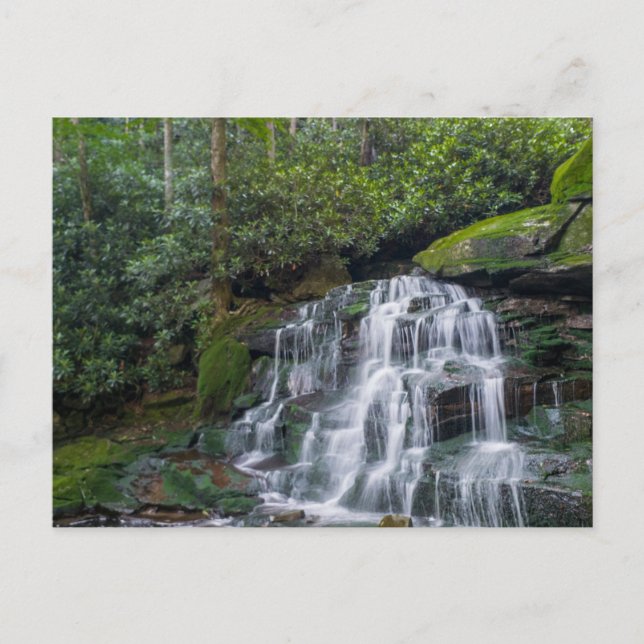 Cartão Postal Elakala Falls #2, Virgínia Ocidental (Frente)