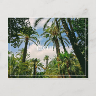 Cartão postal Elche 