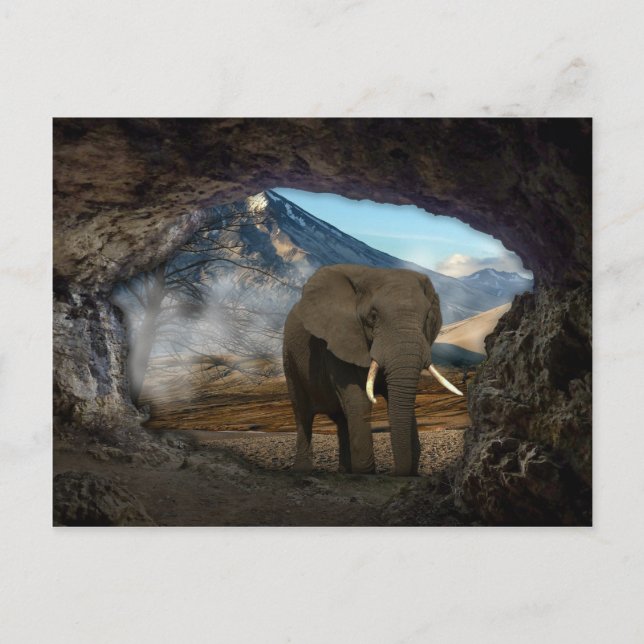 Cartão Postal Elefante (Frente)
