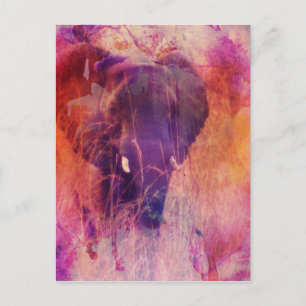 Cartão Postal Elefante