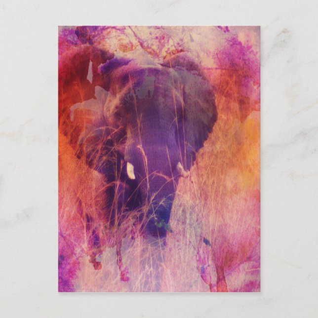 Cartão Postal Elefante (Frente)