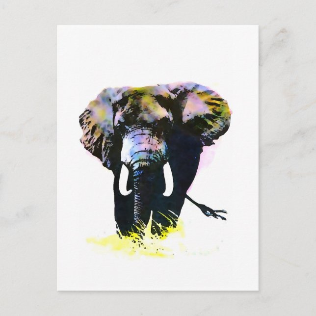 Cartão Postal Elefante (Frente)