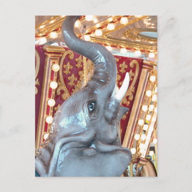 Cartão Postal Elefante Coral Ridge Mall, IA (Frente)