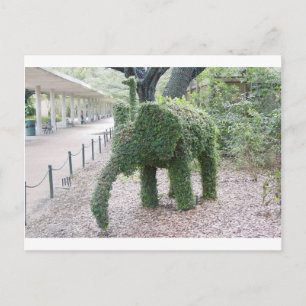 Cartão Postal Elefante da árvore