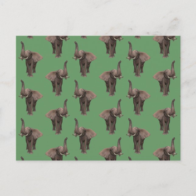 Cartão Postal Elefante de trompete (Frente)