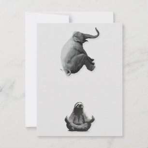 Cartão Postal Elefante e Preguiça Meditativa em Harmonia