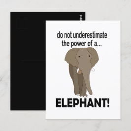 Cartão Postal Elefante Elefante Selvagem Engraçado