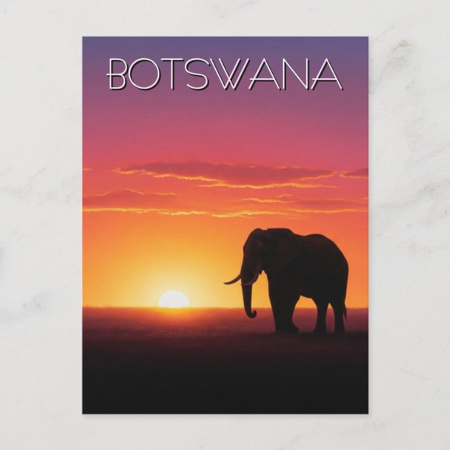 Cartão Postal Elefante na viagem do pôr do sol em Botswana (Frente)