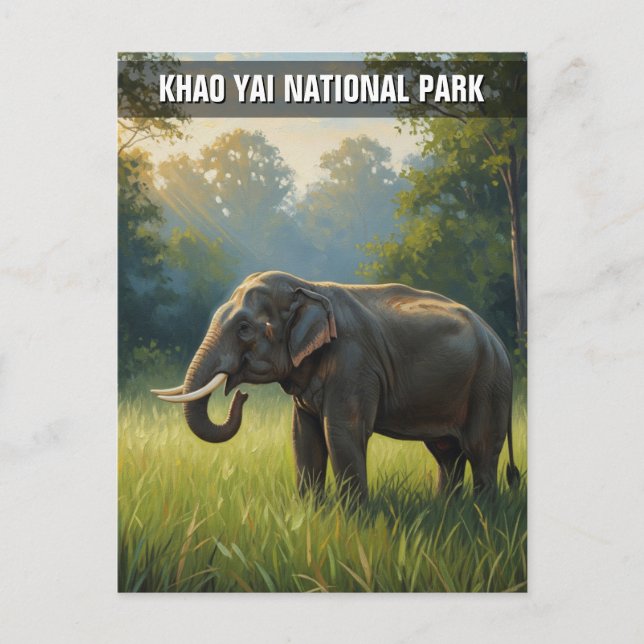 Cartão Postal Elefante no Parque Nacional de Khao Yai na Tailând (Frente)