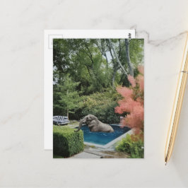 Cartão Postal Elefante Surreal Engraçado e Bonito na piscina