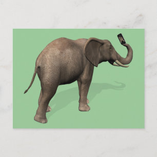 Cartão Postal Elefante Tomando Uma Selfie