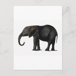 CARTÃO POSTAL ELEFANTE VINTAGE