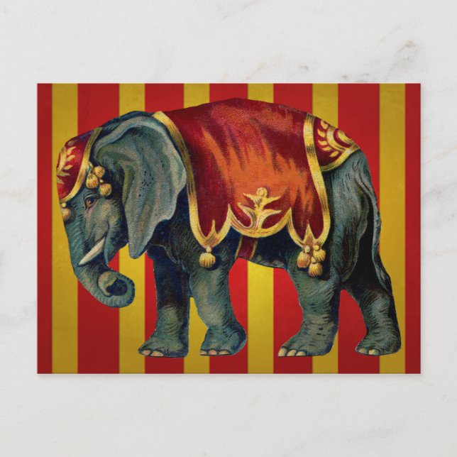 Cartão Postal elefante vintage circus (Frente)