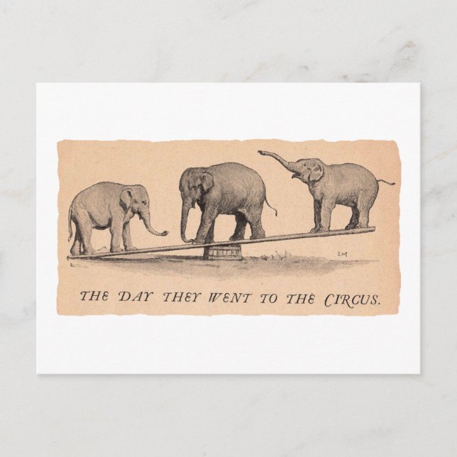 Cartão Postal elefantes de circo (Frente)