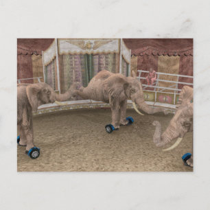 Cartão Postal Elefantes de Circo Engraçados