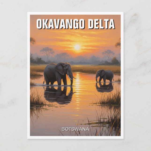 Cartão Postal Elefantes no Delta do Okavango (Frente)