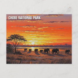 Cartão Postal Elefantes no Parque Nacional de Chobe, Botsuana