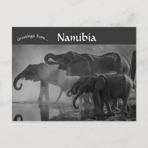 Cartão Postal Elefantes no Parque Nacional Etosha Namíbia