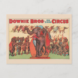 Cartão Postal Elefantes Performáticos Com Mulheres E Treinador.