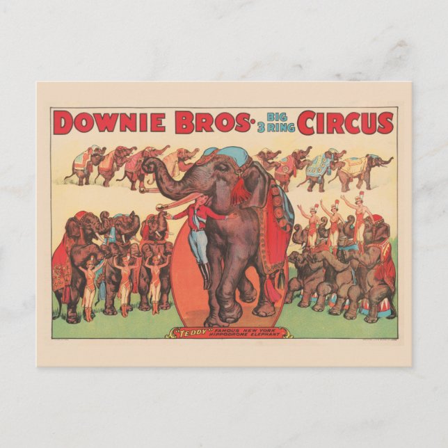 Cartão Postal Elefantes Performáticos Com Mulheres E Treinador. (Frente)