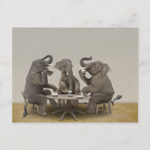 Cartão Postal Elefantes que fazem festa de chá