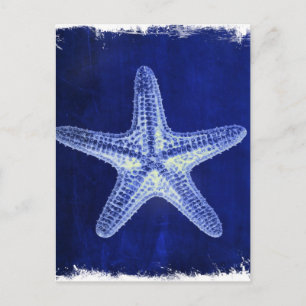 Cartão Postal elegância costeira praia rústica náutica azul estr