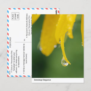 Cartão Postal Elegância de Dewdrop: Flor Amarelo Fechamento Peta