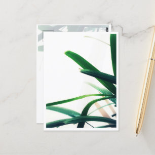 Cartão Postal Elegância Verde Minimalista