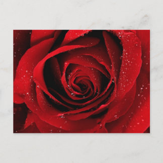 Cartão Postal elegante