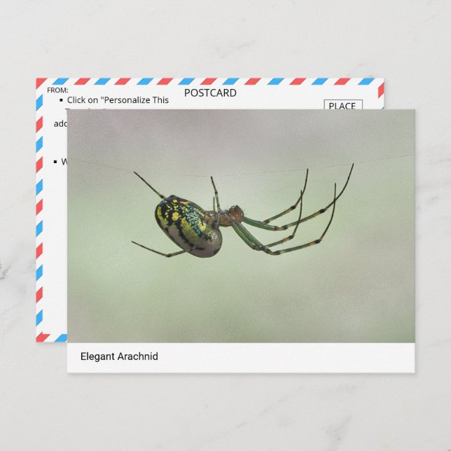 Cartão Postal Elegante Arachnid - Postc do Weaver Artístico da N (Frente/Verso)