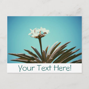 Cartão Postal Elegante com Flor Branca e Planta Ve