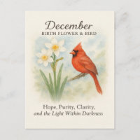 Elegante Escritura Cristã Cardeal de Dezembro