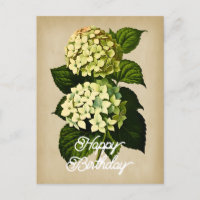 Elegante Flor de Hortênsia Vintage Feliz Aniversár